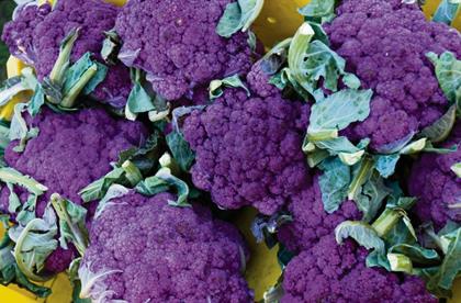 Purple Sprouting Broccoli Recipe